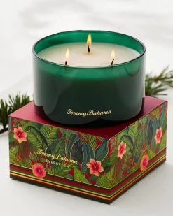 Evergreen 14.5-oz. Boxed 3-Wick Candle