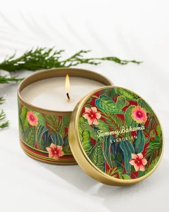 Evergreen 7.1-oz Travel Candle Tin