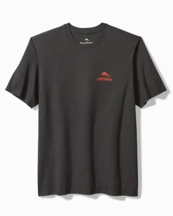 Hazy Conditions Graphic T-Shirt