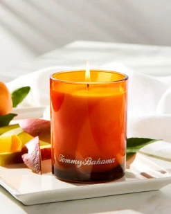 Maui Mango 7.5-oz. Boxed Poured Candle