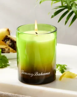Pineapple Cilantro 7.5-oz. Boxed Poured Candle