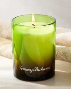 Pineapple Cilantro 7.5-oz. Boxed Poured Candle