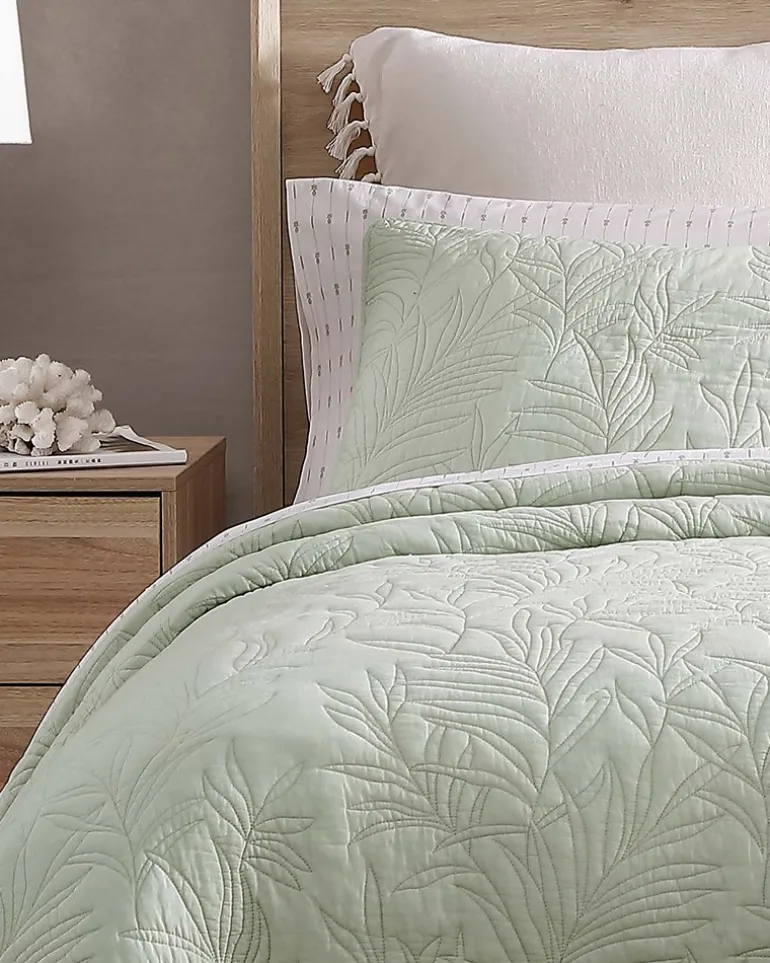 Solid Costa Sera 2-Piece Standard Quilted Sham Set